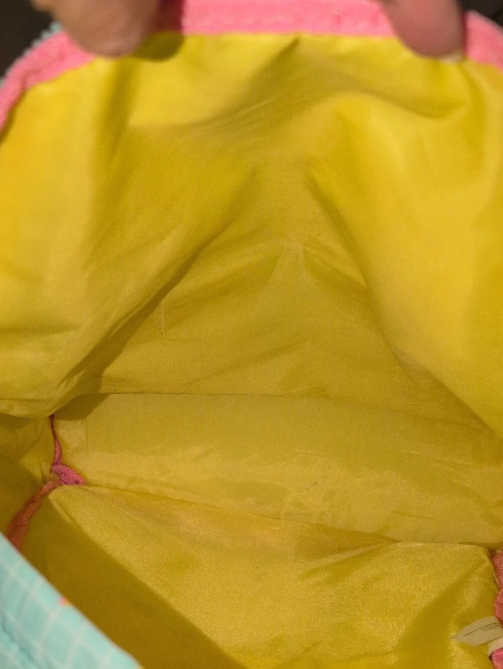 2018 Limited Edition Museum Of Ice Cream X Art Class Banana Grid Back Pack-Rare